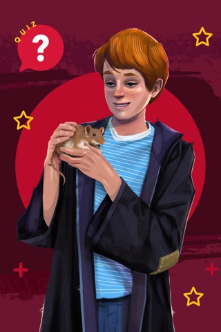 Harry Potter Wizarding Quiz Game in L35 Helens für £ 8,00 zum Verkauf